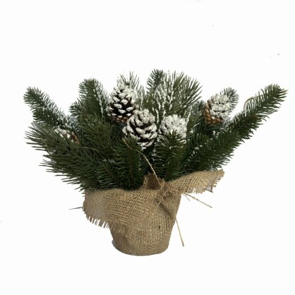 https://arita.ua/images/products/ekibana-iz-hvoi-1730361608-1412976476.jpg