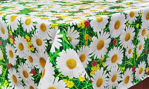 https://arita.ua/images/products/kleenka-pvh-v-rulone-na-netkannoy-osnove-1425m-8764-1673865990-1118584014.jpg