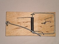 https://arita.ua/images/products/myshelovka-derevyannaya-1609074985-123267533.jpg