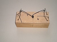 https://arita.ua/images/products/myshelovka-domik-derevyannaya-1609075171-1585854389.jpg