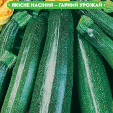 https://arita.ua/images/products/semena-kabachka-cukini-aeronavt-3g-upi10sht-fazenda-1612227905-866770299.jpg