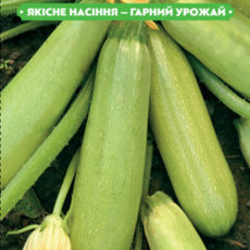 https://arita.ua/images/products/semena-kabachka-cukini-chaklun-3g-upi10sht-fazenda-1612227905-1243421003.jpg
