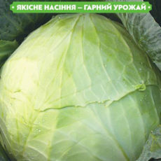https://arita.ua/images/products/semena-kapusty-b-k-ukrainsyka-osiny-1g-upi10sht-fazenda-1612227903-1945316468.jpg