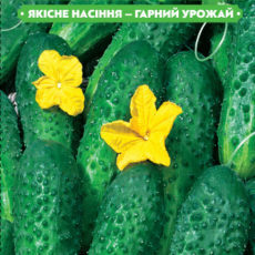 https://arita.ua/images/products/semena-ogurcov-ayaks-f1-20sht-upi10sht-fazenda-1618846894-444841369.jpg