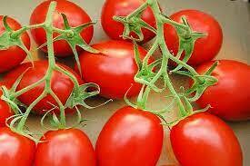https://arita.ua/images/products/semena-tomatov-gskorka-01g-upi-10sht-fazenda-1650413836-764000876.jpg