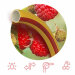 Шланг полив. 50 м 3/4 Fruit+Berry (18.0×2,0мм) садовый "Symmer Garden"