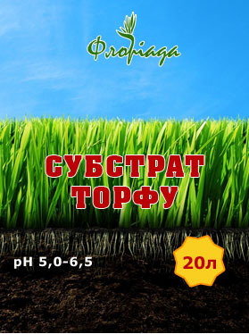 https://arita.ua/images/products/substrat-torfa-floriada-20li-1714091510-1741888237.jpg